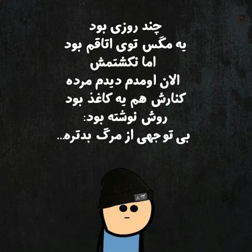 خلاصه این قدر با مگس کش دنبال مگسا نگردین😂 😂 😂