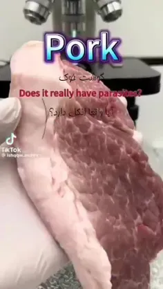 گوشت خوک زیر میکروسکوپ
