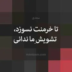 آمدی جانم بسوزی، سوختی ، دیگر برو