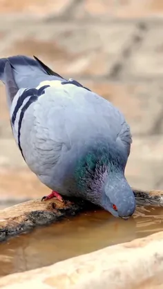 همه کارها.....