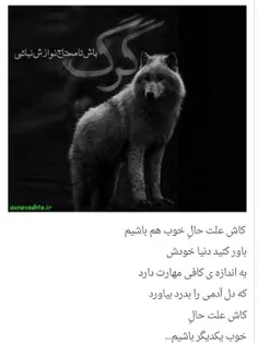 عکس نوشته.. گرگ  آلفا