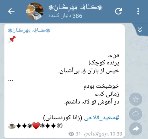 سعید فلاحی