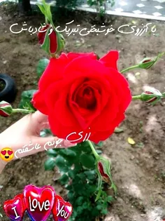 سفید بخت بشی زهرا جونم 😍❤️💍🤭🎉 @zarr_zariii 