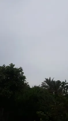 الان بوشهر و بارون