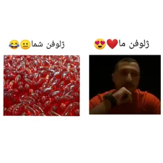 ژلوفن ما❤🖤