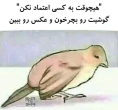 بله اینجوریاست 😌😌🤟