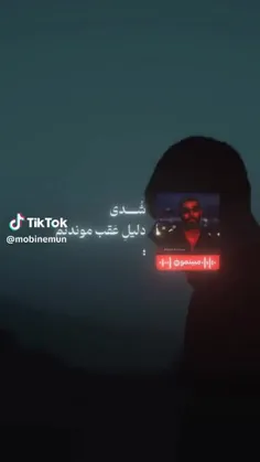 شُدی 