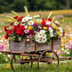 حس خوب🌺