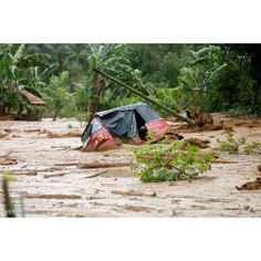 وقوع بارش های موسمی در سریلانکا و متعاقب آن رانش زمین، مو