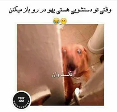 خخخخخ دقیقا