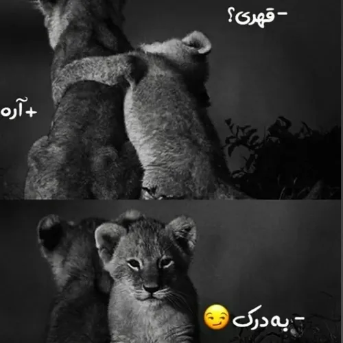 بودی نوش نبودی فراموش✌😐