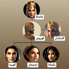 delbar.m 74566940