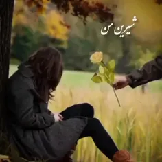 شب بخیر تا فردا...