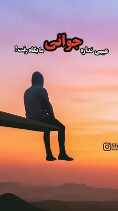 فالو کنید 