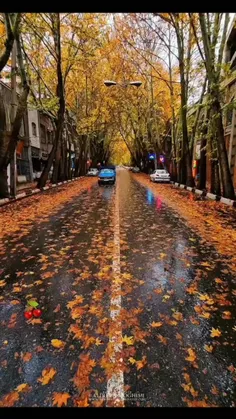 #کلیپ_خنده_دار 