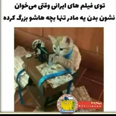 حق چیه‌؟ شما می توانید حق را در تصویر مشاهده کنید😂