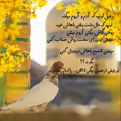 # امام رضا