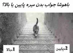 گوناگون dornaes1372 1440389
