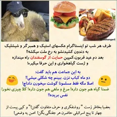 🐑  طرف هر شب تو #اینستاگرام عکسهای #استیک و #همبرگر و #شی