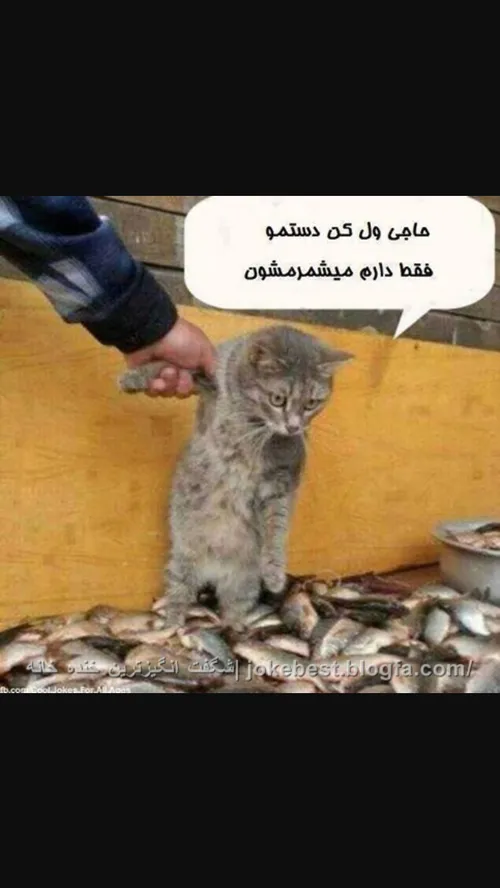 ههههه