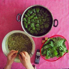 A woman makes ‘Dolmeh-Barg-e-Mo’ (Stuffed Grape Leaves), 