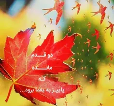 عاشقانه ها darya1001 25382696