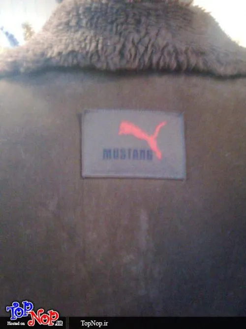 سوتی بزرگ