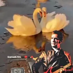 ♠️♥️♣️♦️یادیاران 