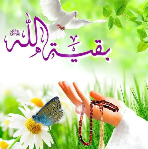 مذهبی aliataii 19420832 - عکس ویسگون