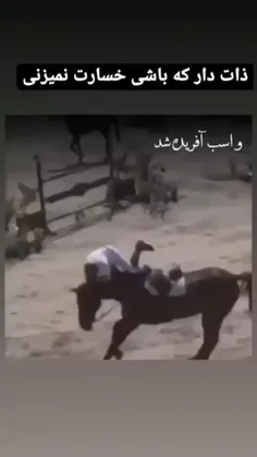 نجابت