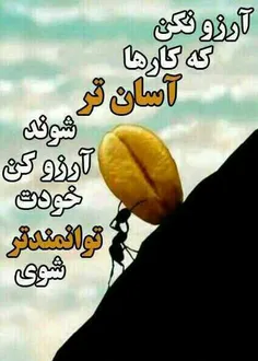 آرزو نکــن کــه کارها آسان تر شونـــد✘ 