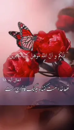 ❤️شب دوازدهم