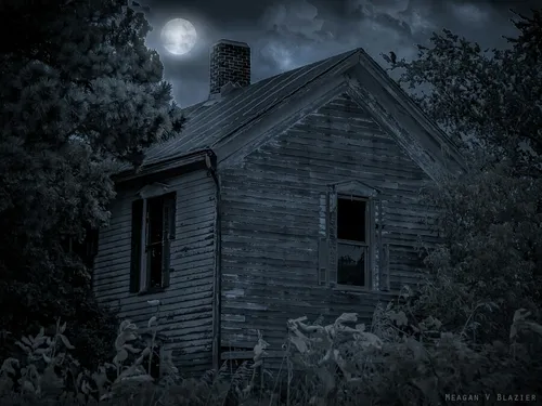 کی دوست داره تنهایی تو این خونه بخوابه؟