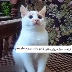 خخخخخخخخخخ