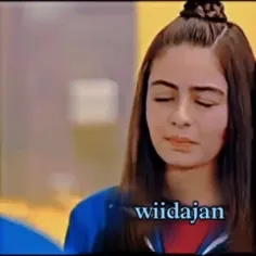 لیچا 