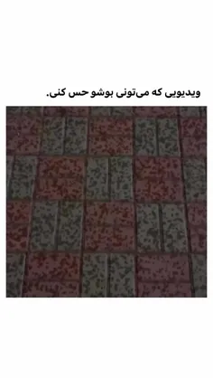 ‌برای سرگرم شدن خودت منو فالو کن
