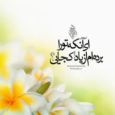 🌺 السلام علیک یا صاحب الزمان