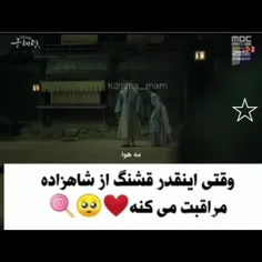 سریال: مورخ تازه کار