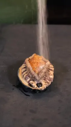 نوش جان😃👍