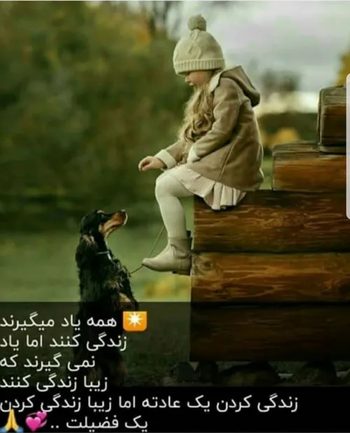 صبح همگی بخیر