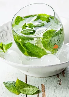 mohito