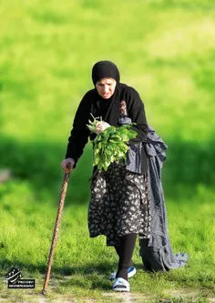 بندر گناوه ,روستای گماران , سال1389