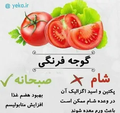 ورزش همگانی rehanh 27378553