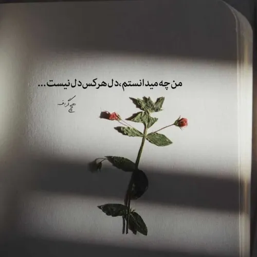 عکس نوشته