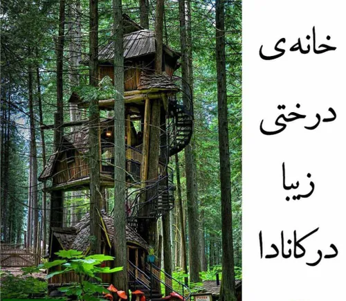 دیدنیها