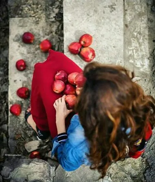 کاش کسی بود به گوشت می رساند