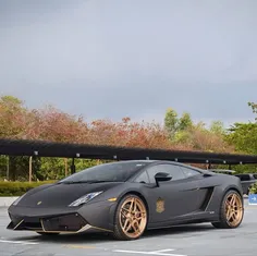 Lamborghini-Gallardo