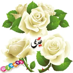 #کارت_پستال_استیکرسبد گل تقدیمی سه بعدی عکس گل جدید برای 