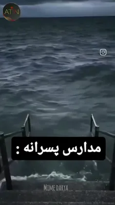 علی بز...