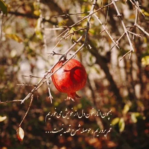 🍂همچون انار خون دل از خویش می خوریم غم پروریم، حوصله شرح 